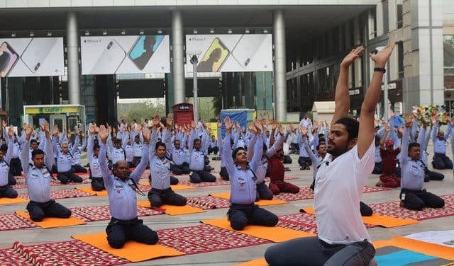 A mass yoga session in an open hall